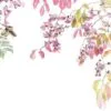 پوستر دیواری | کد 003-1718