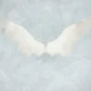 پوستر دیواری | کد CA8-117