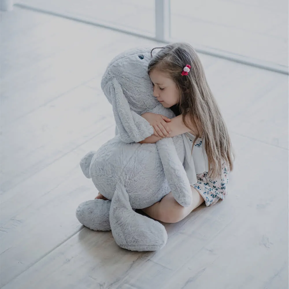 لمینت زنیت کالکشن آلیانس کد 2424
