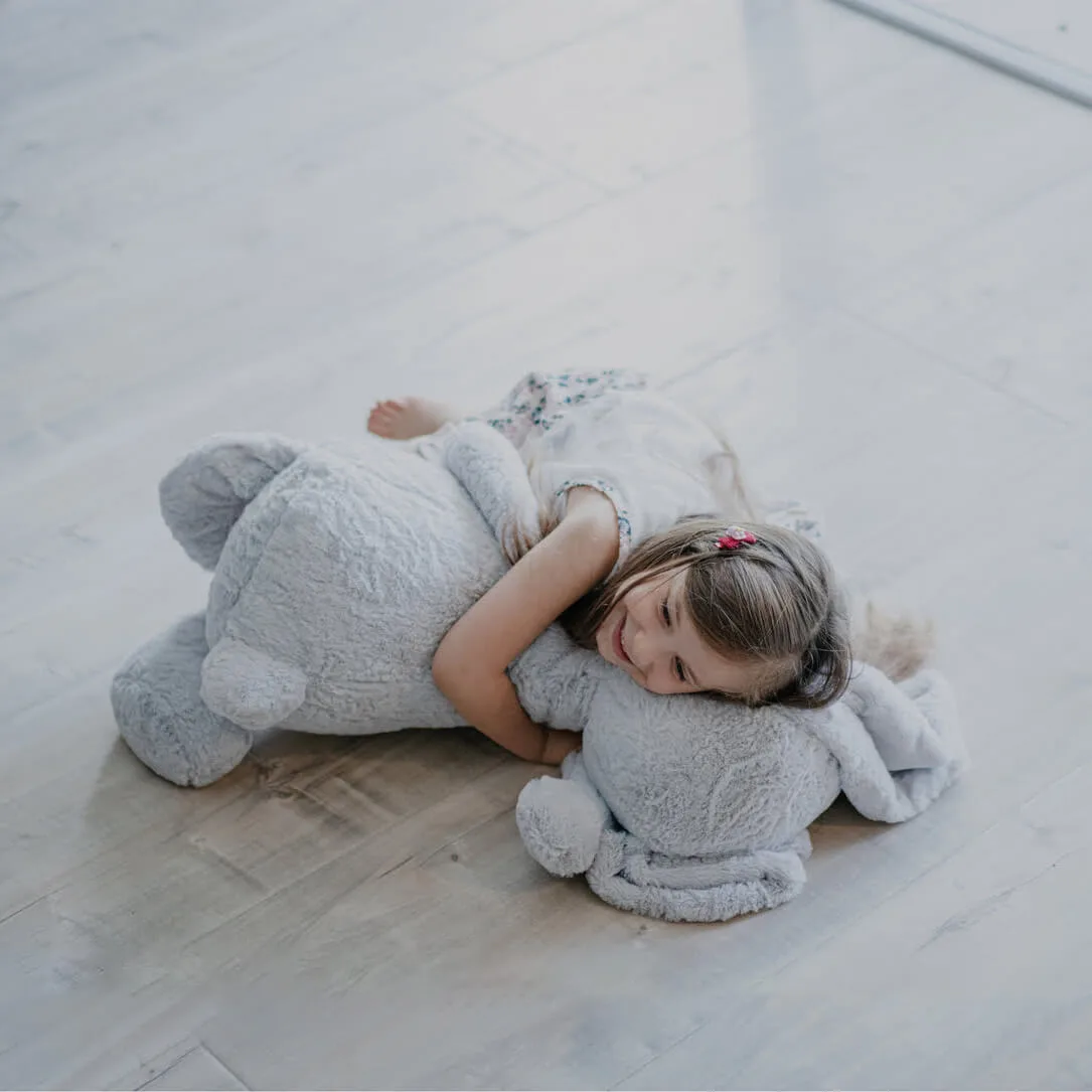 لمینت زنیت کالکشن آلیانس کد 2424