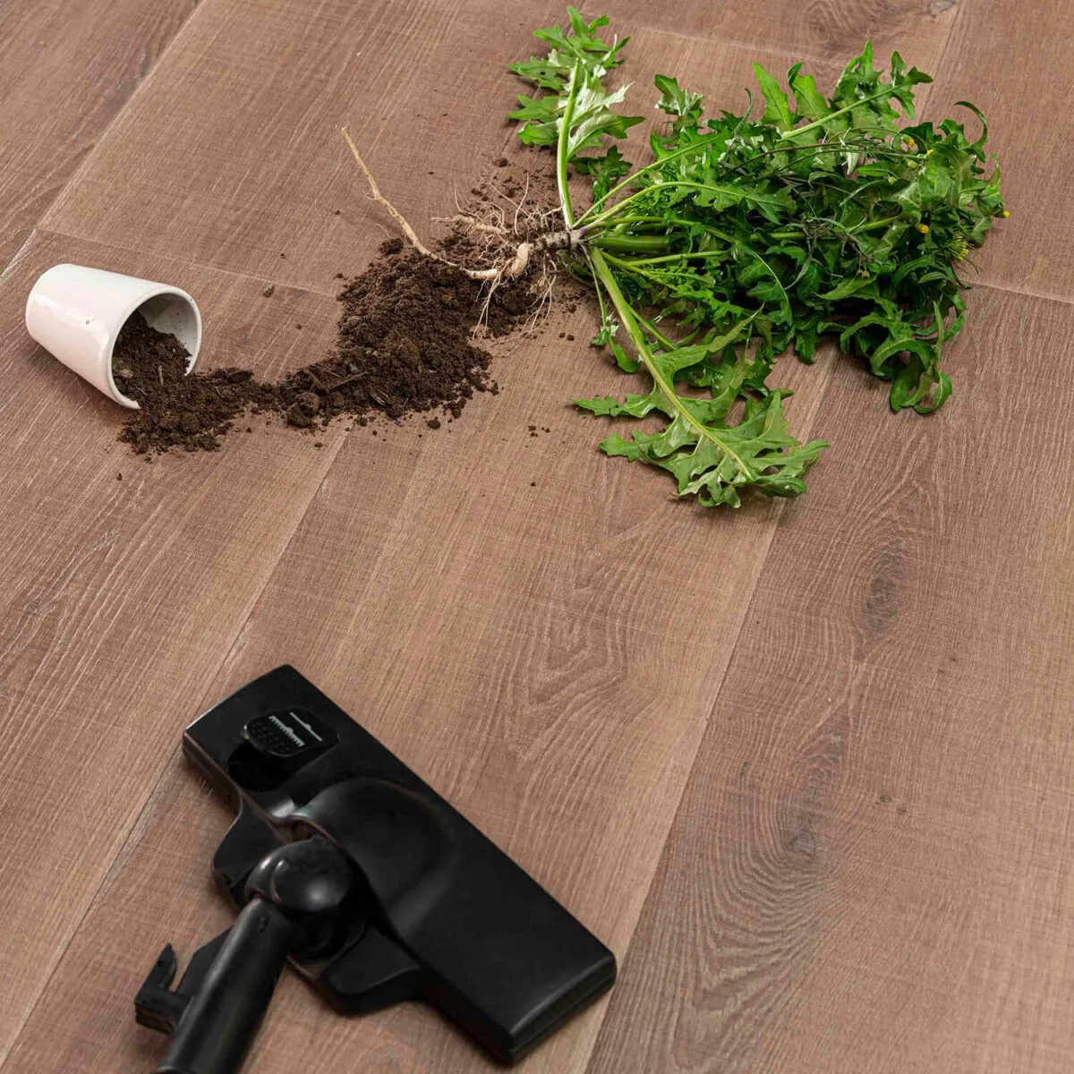 لمینت زنیت کالکشن نیچر کد PINE