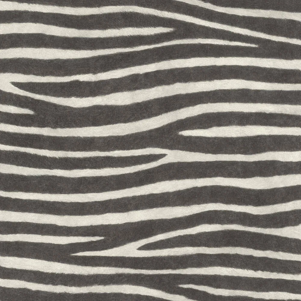 کاغذ دیواری راش آلبوم African Queen III سری Zebra Stripes