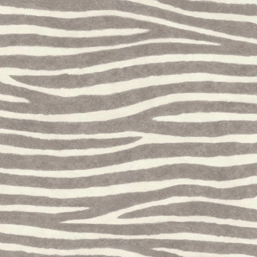 کاغذ دیواری راش آلبوم African Queen III سری Zebra Stripes