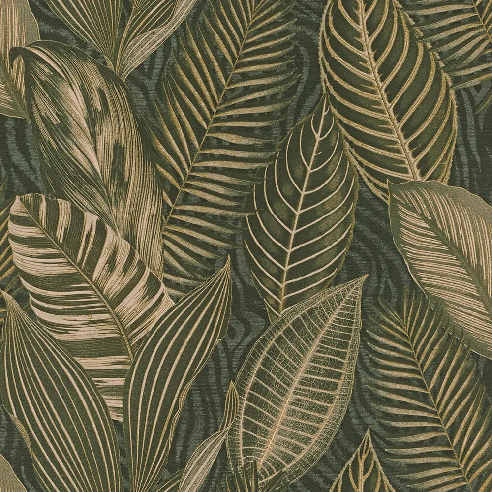 کاغذ دیواری راش آلبوم African Queen III سری Leaves