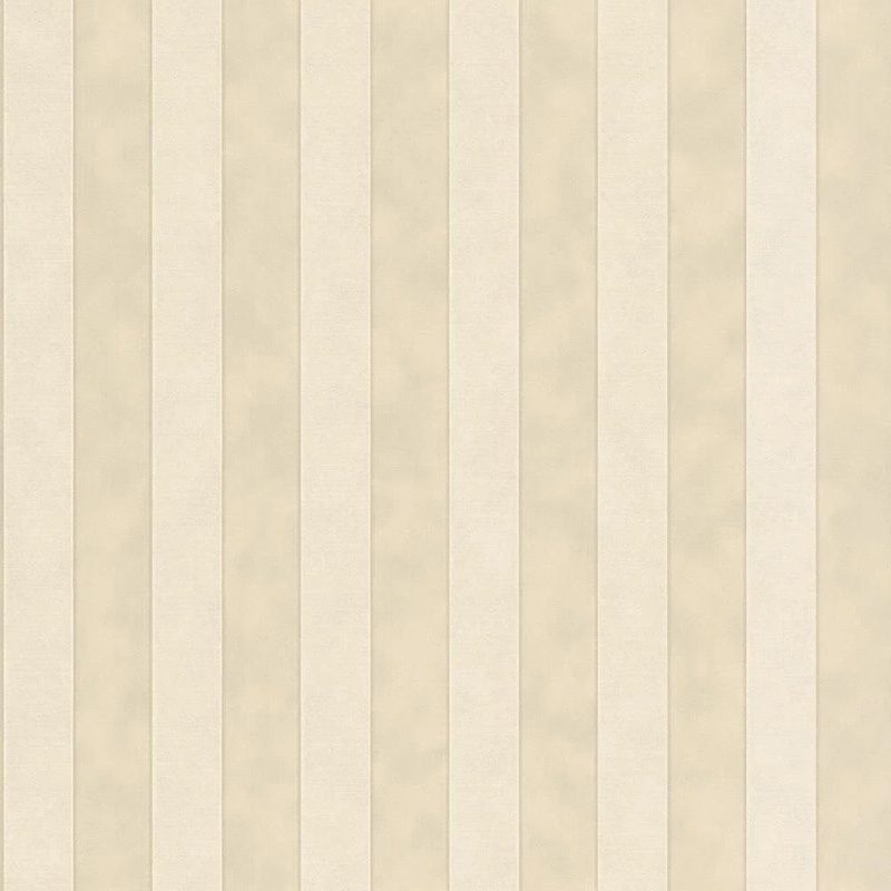 کاغذ دیواری راش آلبوم Etro I سری Smooth Stripes 3 کاغذ دیواری راش آلبوم Etro I سری Smooth Stripes - Image 3