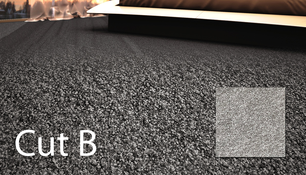 پالاز کات بی