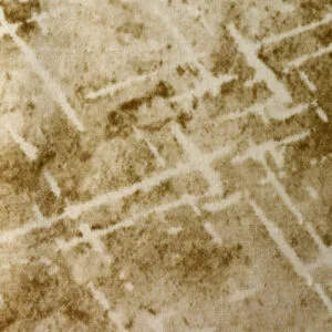 موکت پالاز سری دالیا