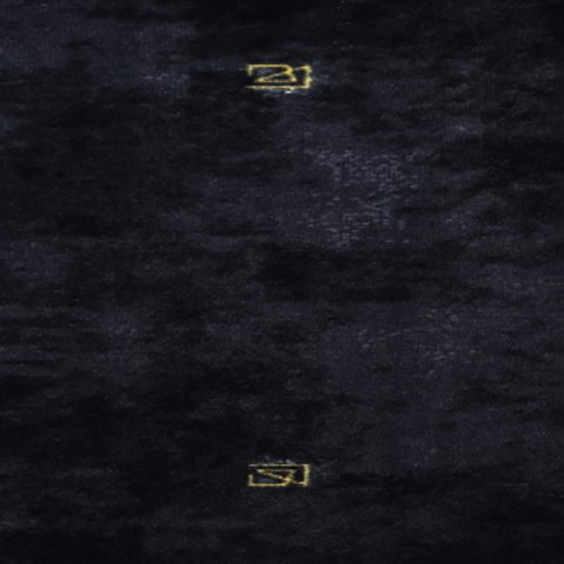 گروه طراحی و معماری سارای 1053 Alternative View Of موکت پالاز سری ونوس